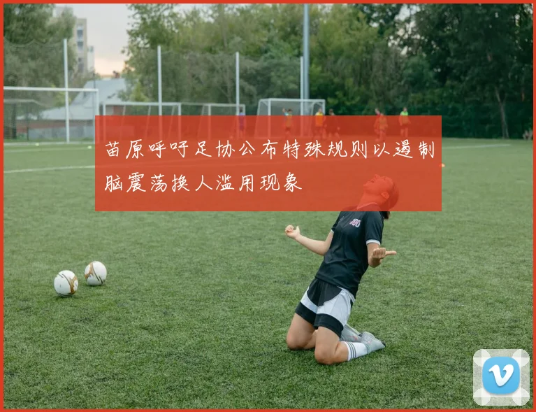 苗原呼吁足协公布特殊规则以遏制脑震荡换人滥用现象